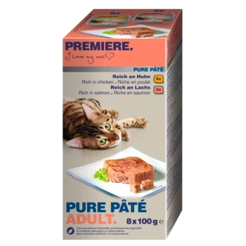 Verpackung für Katzenfutter mit einer verspielten getigerten Katze neben einem Teller mit Pastete. Der Text hebt die Geschmäcker Huhn und Lachs hervor, 8x100g.