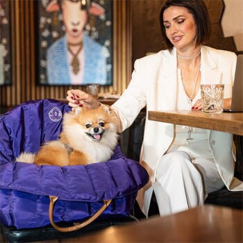 Ein lächelnder Pomeranian sitzt bequem in einer lila Haustiertragetasche, während eine Frau in einem weißen Outfit ihn sanft an einem Tisch streichelt.