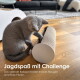Graues Kätzchen schlägt mit der Pfote gegen ein zylindrisches Kartonspielzeug auf einem Parkettboden; deutscher Text: 'Jagdspaß mit Challenge.'