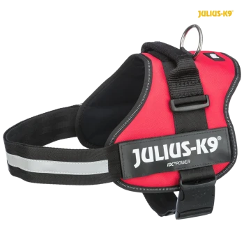 Rotes Julius-K9 Hundegeschirr mit schwarzen Riemen, ausgestattet mit einem reflektierenden Streifen und einem Metall-D-Ring zur Leinenbefestigung.