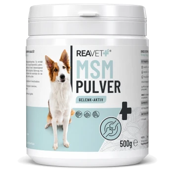 Behälter mit REAVET MSM Pulver für Hunde, 500g, beschriftet mit 'Gelenk-Aktiv', mit einem Hundebild und dem Text 'Made in Germany'.