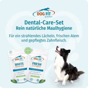 Verpackung des Dog Fit Dental-Care-Sets und schwarz-weißer Hund; Beutel mit der Beschriftung 'WHITE dental plus' und 'FRESH oral hygiene'.