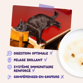 Chat noir endormi sur une table rouge ; le texte en français énumère trois avantages cochés et « COMPÉTENCES EN COUTURE » barré.