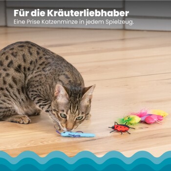 Eine Bengal-Katze schnüffelt an einer blauen Spielzeugmaus auf einem Holzboden, umgeben von bunten Plüschspielzeugen und Text über Katzenminze.