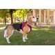 Vest Harness Clasp Air-Mesh green XXS