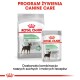 Opakowanie karmy dla psów Royal Canin Digestive Care: worek suchej karmy "MINI" i saszetka mokrej karmy, podkreślająca poprawioną jakość stolca.