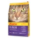 Nahaufnahme des Gesichts einer Katze auf der Josera Culinesse Katzenfuttertüte, die "Haut & Fell", "Anti-Haarball" und ein Protein/Fett-Verhältnis von 31/13 hervorhebt.