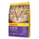 Nahaufnahme des Gesichts einer Katze auf der Josera Culinesse Katzenfuttertüte, die "Haut & Fell", "Anti-Haarball" und ein Protein/Fett-Verhältnis von 31/13 hervorhebt.