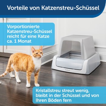 Orangefarbener Tabby-Kater steht neben einer grauen Katzenstreu mit Haube, mit Text über die Vorteile von vorportionierter Katzenstreu.