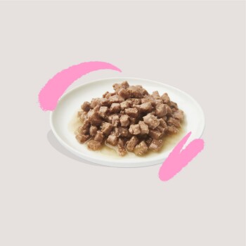 Une assiette blanche remplie de petits morceaux de nourriture humide pour chat en sauce, posée sur un fond rose clair avec des coups de pinceau abstraits en rose.