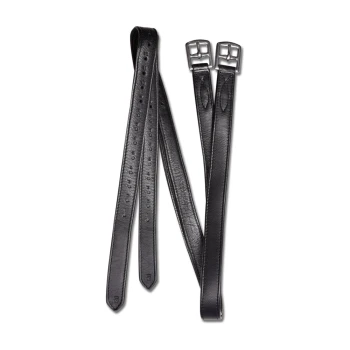 Schwarze Leder-Haustierleine mit zwei silbernen Schnallen und mehreren Einstelllöchern zur Größenanpassung.