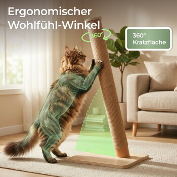 Katze mit anatomischer Überlagerung, die an einem schräg gestellten Sisalpfosten auf Holzsockel kratzt; zeigt deutschen Text, darunter '360° Kratzfläche'.