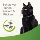 Schwarze Katze mit einem Halsband, mit dem Text "Schutz vor Flöhen, Zecken & Mücken" und Symbolen von Insekten in einem grünen Kreis.