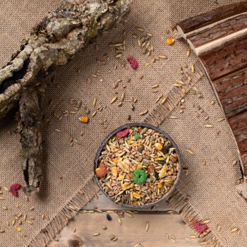 Eine Schüssel mit buntem Vogelfutter mit Körnern, Samen und getrockneten Fruchtstücken, umgeben von verstreuten Samen auf einem Jute-Hintergrund.