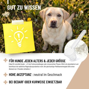 MagenMild-Pulver für Hunde, 500g-Packung, fördert die Verdauungsgesundheit mit natürlichen Mineralien. Hergestellt in Deutschland, enthält Fütterungsanweisungen.