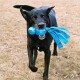 Ein schwarzer Hund läuft fröhlich auf braunem Gras und hält ein blaues Spielzeug mit Bändern im Mund.