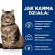 Brązowy pręgowany kot z niebieską obrożą obok niebieskiego panelu 'JAK KARMA DZIAŁA:' wspominającego ActivBiome+ i prebiotyki.