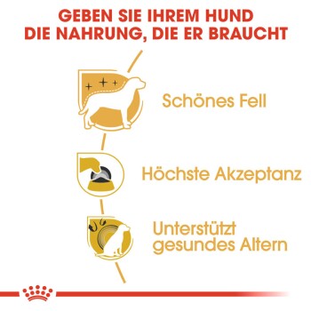Royal canin adult yorkshire terrier on sale