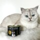 Nourriture humide chat senior en gelée Canard 24x85 g