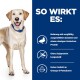 Prescription Diet d/d Futter bei Allergien, mit Ente und Reis 12 kg