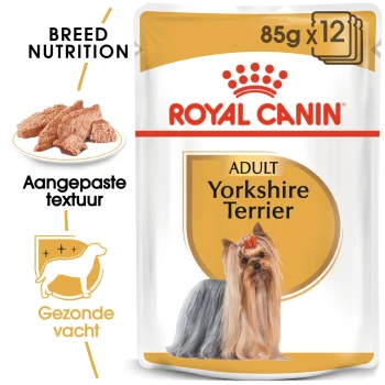 Royal Canin Adult Yorkshire Terrier hondenvoer verpakking, met een Yorkshire Terrier met lang haar en een rode strik, 85g x 12.
