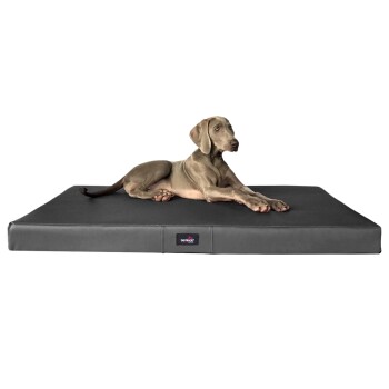 Ein großer grauer Hund liegt auf einem schwarzen orthopädischen Haustierbett und zeigt Komfort und Unterstützung für Haustiere.