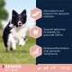 Ein fröhlicher schwarz-weißer Hund mit Text über Vorteile für ältere Hunde: Glucosamin, Calcium, Futter für Zahngesundheit und Ballaststoffe.
