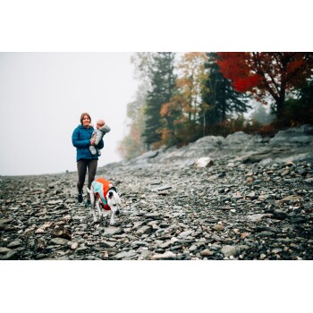 Eine Person in einer blauen Jacke geht entlang einer felsigen Küste mit einem Hund, der eine leuchtend orangefarbene und türkisfarbene Weste trägt, umgeben von herbstlichem Laub.