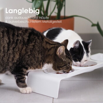 Getigerte und schwarz-weiße Katzen fressen aus einem erhöhten weißen Doppelnapf; eingeblendeter Text 'Langlebig' sichtbar.