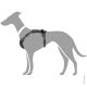 Illustration eines grauen Hundes, der ein schwarzes Geschirr trägt, das das Design und die Passform des Geschirrs am Körper des Hundes zeigt.