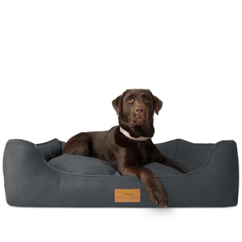 orthopädisches Hundebett anthrazit XL