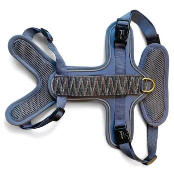 Ein blauer Hundegeschirr mit gepolstertem Design, mit verstellbaren Riemen und einem Metall-D-Ring zur Leinenbefestigung.
