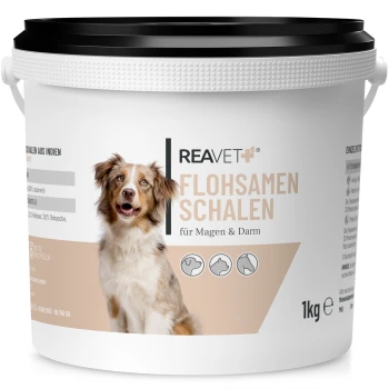Behälter mit REAVET Flohsamen Schalen (Psylliumschalen) für Hunde, gekennzeichnet für die Verdauungsgesundheit, 1 kg, mit einem Hundebild.