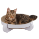 Eine verspielte getigerte Katze, die auf einem runden, kartonierten Kratzbaum mit weißem Boden entspannt, und ihre entspannte Haltung zeigt.