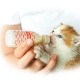 Une personne nourrissant un petit chaton orange et blanc avec un biberon étiqueté "beap." Le chaton a de grands yeux bleus et tend la patte vers le biberon.