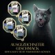 Eine graue Katze mit grünen Augen leckt sich die Lippen neben vier Sheba Classics Futterpaketen, mit Text über unwiderstehliche Geschmäcker.