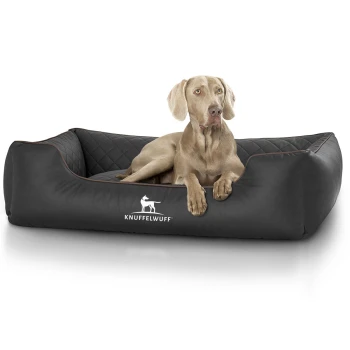 Hundebett Milan aus laser-gestepptem Kunstleder schwarz XL Ein hellbrauner Hund, der auf einem schwarzen, gesteppten Haustierbett liegt, auf dem das Logo 'KNUFFELWUFFF' deutlich auf der Vorderseite zu sehen ist.