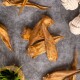 Eine Sammlung von getrockneten Fischhäuten, die auf einer grauen Oberfläche angeordnet sind, ideal für Haustierleckereien.