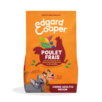 Sac de nourriture Edgard Cooper orange étiqueté « Poulet Frais » et « Chiens adultes médium », illustration de poulet et deux chiens dessinés