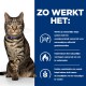 Een zelfverzekerde tabby kat met een blauwe halsband zit naast tekst die een natuurlijk gewichtsverliesproduct voor katten promoot.