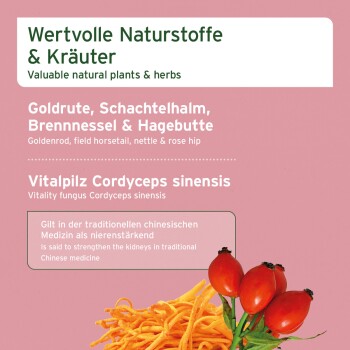 Rosa Poster mit der Aufschrift 'Wertvolle natürliche Pflanzen & Kräuter' und 'Cordyceps sinensis', zeigt Hagebutten und Cordyceps-Pilz.
