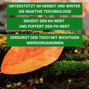 Bild eines Herbstblattes auf moosigem Boden mit Text, der ein Teichpflegeprodukt bewirbt und dessen Vorteile für die Teichbiologie und den pH-Wert hervorhebt.