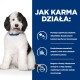 Puszysty czarno-biały pies z wystawionym językiem w niebieskiej obroży. Tekst podkreśla korzyści karmy dla psów dla zdrowia układu moczowego.