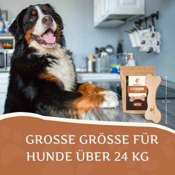 Ein glücklicher Berner Sennenhund sitzt an einer Küchenzeile neben einem "Wildfang Leatherbone" Kauspielzeug für Hunde über 24 kg.