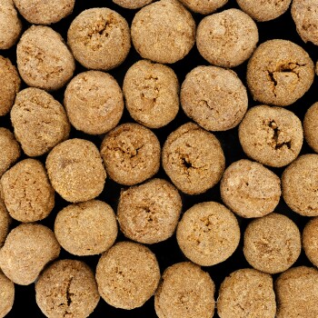 Nahaufnahme von kleinen, runden, braunen Haustierfutter-Kibbles, die auf einem schwarzen Hintergrund verstreut sind.