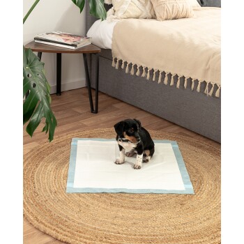 Ein kleiner schwarz-brauner Welpe sitzt auf einem weißen und blauen Welpentrainingspad, das auf einem runden Jute-Teppich in einem gemütlichen Raum platziert ist.