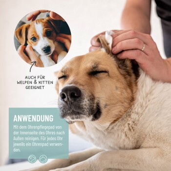Eine Person reinigt sanft das Ohr eines Hundes mit einem Wattepad. Der Text im Bild lautet "ANWENDUNG" und "AUCH FÜR WELPEN & KITTEN GEEIGNET."