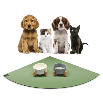 Eine Gruppe von vier Haustieren, darunter zwei Hunde, eine Katze und ein schwarzes Kätzchen, sitzt auf einer grünen Fütterungsmatte mit zwei stilvollen Futterschalen.