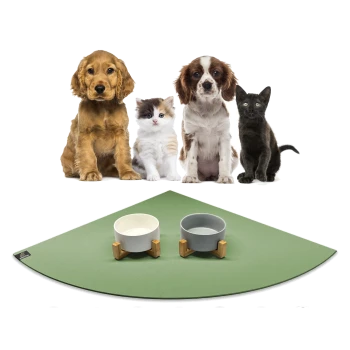 Eine Gruppe von vier Haustieren, darunter zwei Hunde, eine Katze und ein schwarzes Kätzchen, sitzt auf einer grünen Fütterungsmatte mit zwei stilvollen Futterschalen.