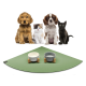 Eine Gruppe von vier Haustieren, darunter zwei Hunde, eine Katze und ein schwarzes Kätzchen, sitzt auf einer grünen Fütterungsmatte mit zwei stilvollen Futterschalen.